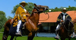 Concurso del Caballo de Paso Peruano