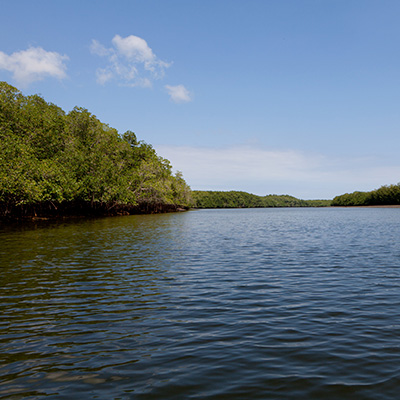 Declaración del Santuario Nacional los Manglares de Tumbes como área protegida