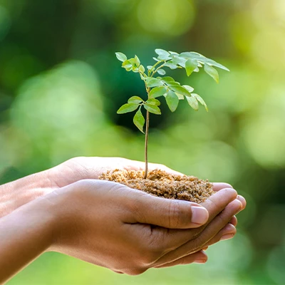 Día Mundial del Medio Ambiente	