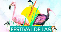 Festival de las Aves de Lima