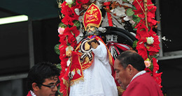 Festividad de San Pedrito