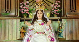Fiesta Patronal Virgen Asunta