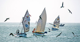 Regata de Veleros de Pesca Peruano