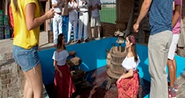 Ruta de los Lagares y Festival Internacional de la Vendimia