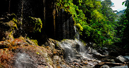 XII Aniversario de la Reserva de Biosfera Oxapampa - Asháninka - Yánesha