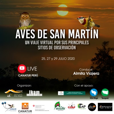 Aves en San Martín: Un viaje virtual por sus principales sitios de observación