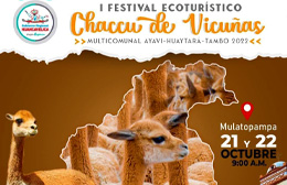 I Festival Ecoturístico Chaccu De Vicuñas Multicomunal Ayavi-Huaytará-Tambo 2022