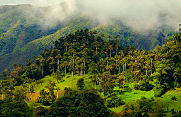 61º Aniversario Parque Nacional de Cutervo