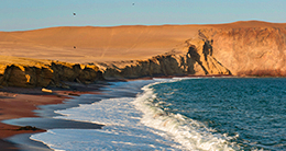 Aniversario de la Reserva Nacional de Paracas