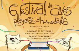 Festival de aves playeras y humedales- Lambayeque 2022 Ciudad Eten