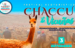 Festival Ecoturístico "Chaccu de Vicuñas"