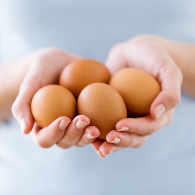 Día Mundial del Huevo