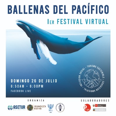 I Festival Virtual Ballenas del Pacífico