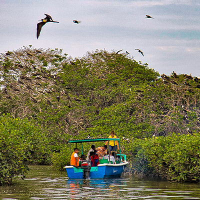 Festival del Manglar - Puerto Pizarro