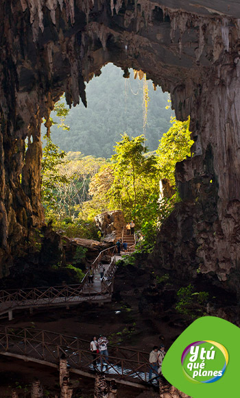 Cueva de las lechuzas en el Parque Nacional Tingo María.