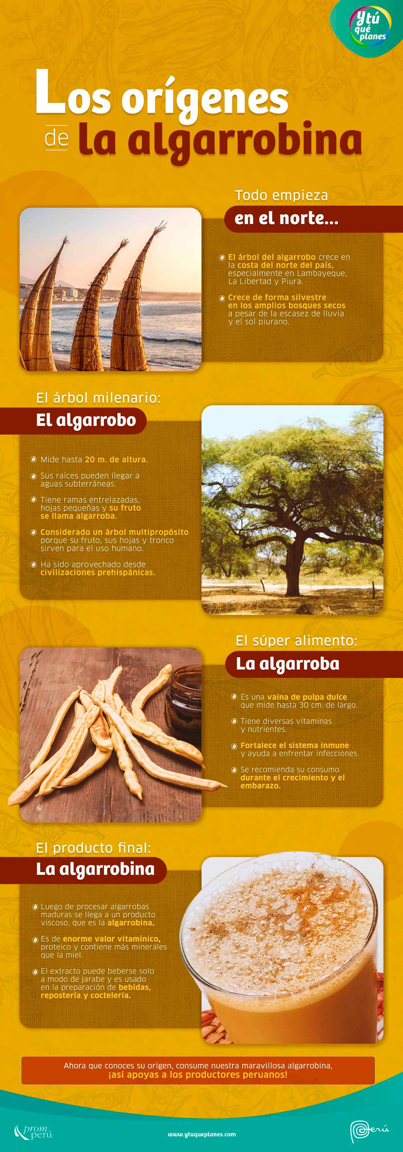 Infografia sobre la Algarrobina