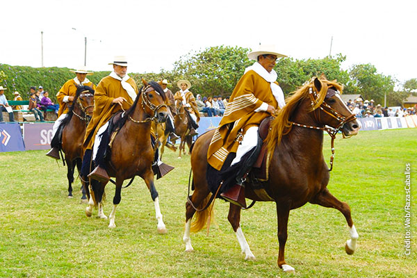 Lurin-Caballos-Paso