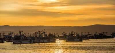 Paracas, Ica y Nasca obtienen el sello internacional Safe Travels