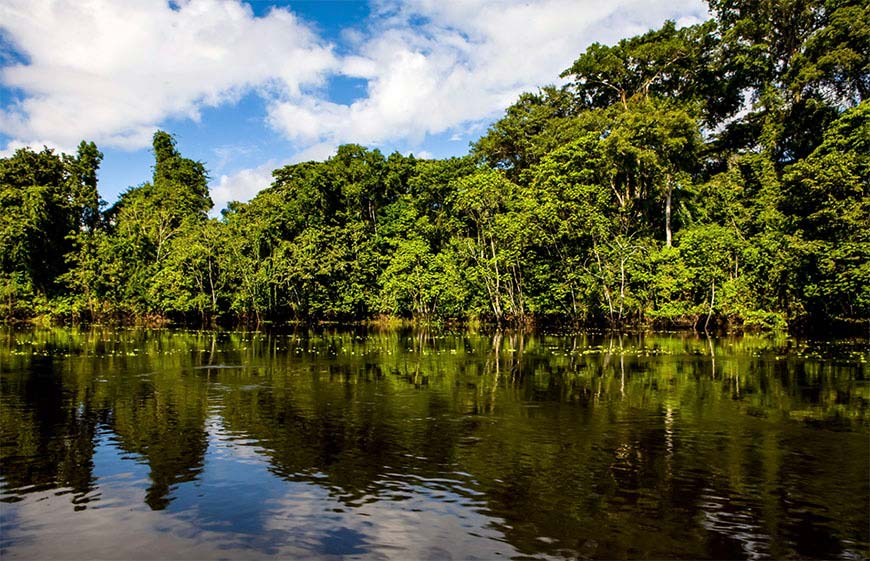 Reserva Nacional Pacaya Samiria