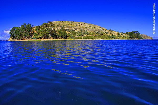 Isla Suasi en Puno