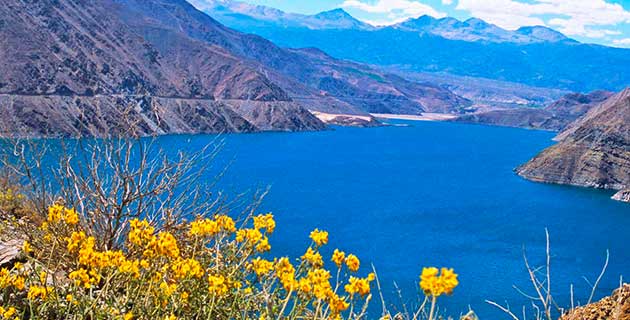 Laguna de Aricota - Los 4 imperdibles para disfrutar de la naturaleza en Tacna