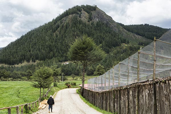 Cuatro destinos para relajarte y escaparte de la ciudad - Morro de Calzada en Moyobamba