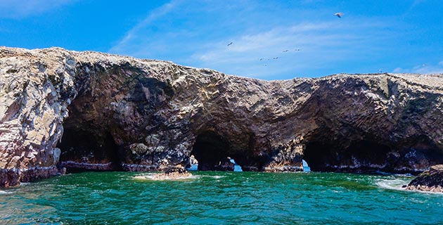 Paracas en Ica - 7 destinos imperdibles para visitar este verano