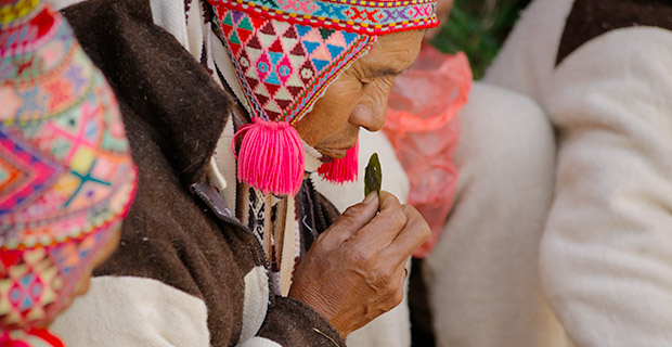 Puente Q'eswachaka