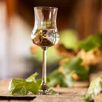 Feliz Día Nacional del Pisco