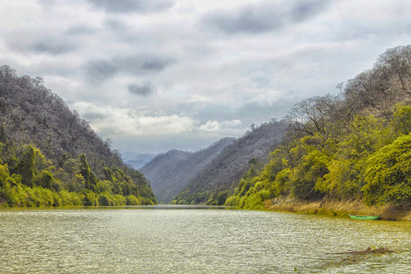 Tres reservas nacionales que te dejarán impresionado por su belleza - Parque Nacional Cerros de Amotape en Tumbes