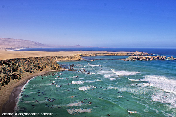 Tres reservas nacionales que te dejarán impresionado por su belleza - Reserva Nacional de San Fernando en Arequipa