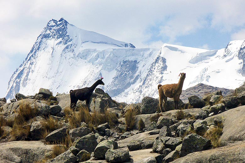 Vista al nevado Pariacaca