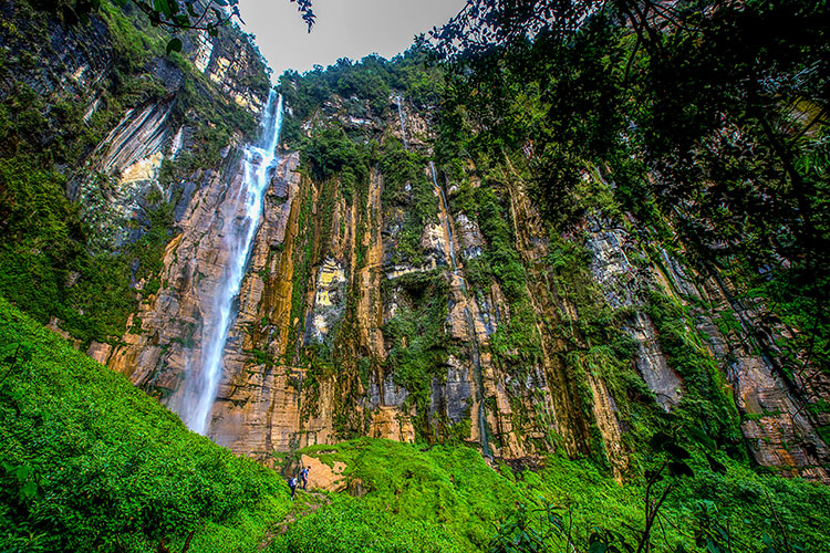 Viajar al Amazonas