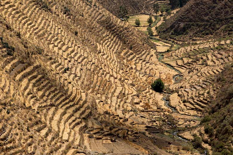 Andenes Nor Yauyos Cochas