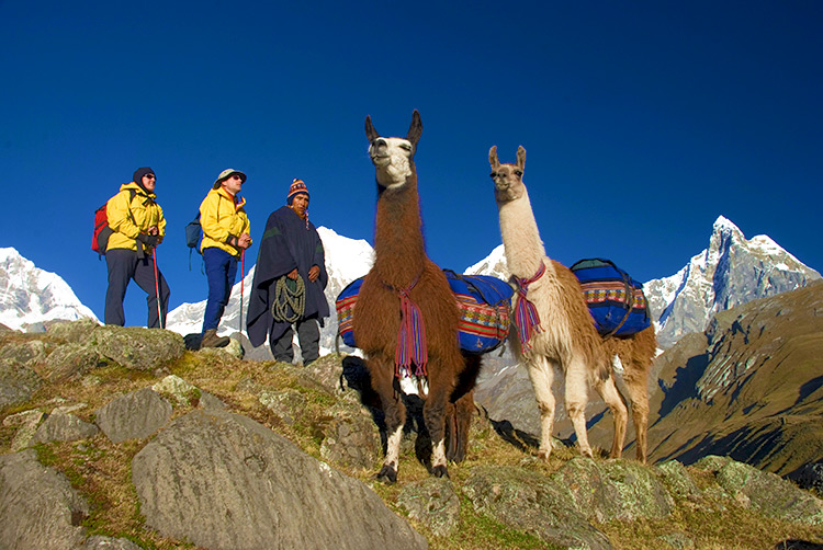 Fauna del Perú, Qué es la Fauna