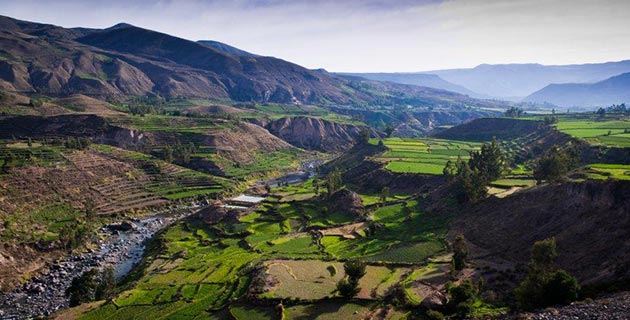 ano-nuevo-colca