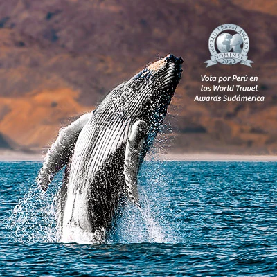 World Travel Awards 2022: Perú es nominado a 18 categorías en los Oscar del Turismo