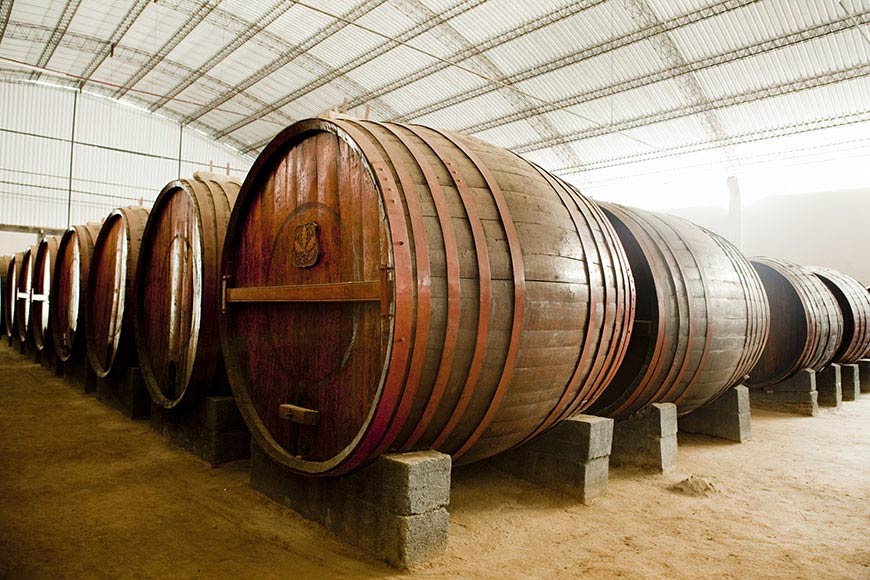 Vendimia de Ica Bodegas