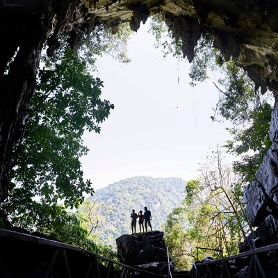 Parque Nacional Tingo María: 4 razones por las que debes visitar esta área natural protegida