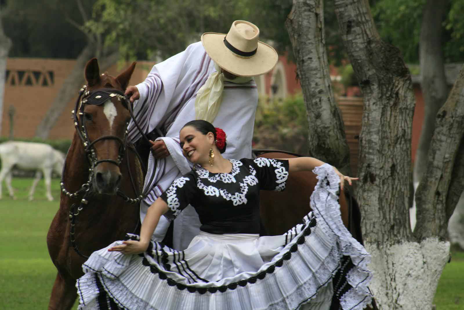 caballo-de-paso