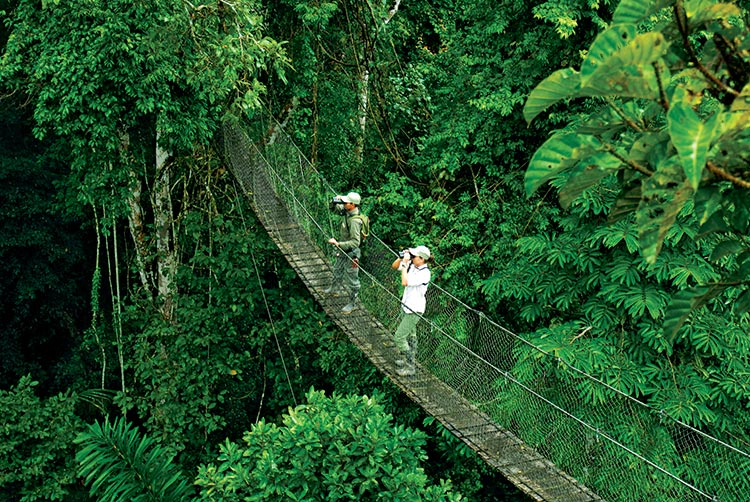 Turismo de Aventura, Turismo de Naturaleza