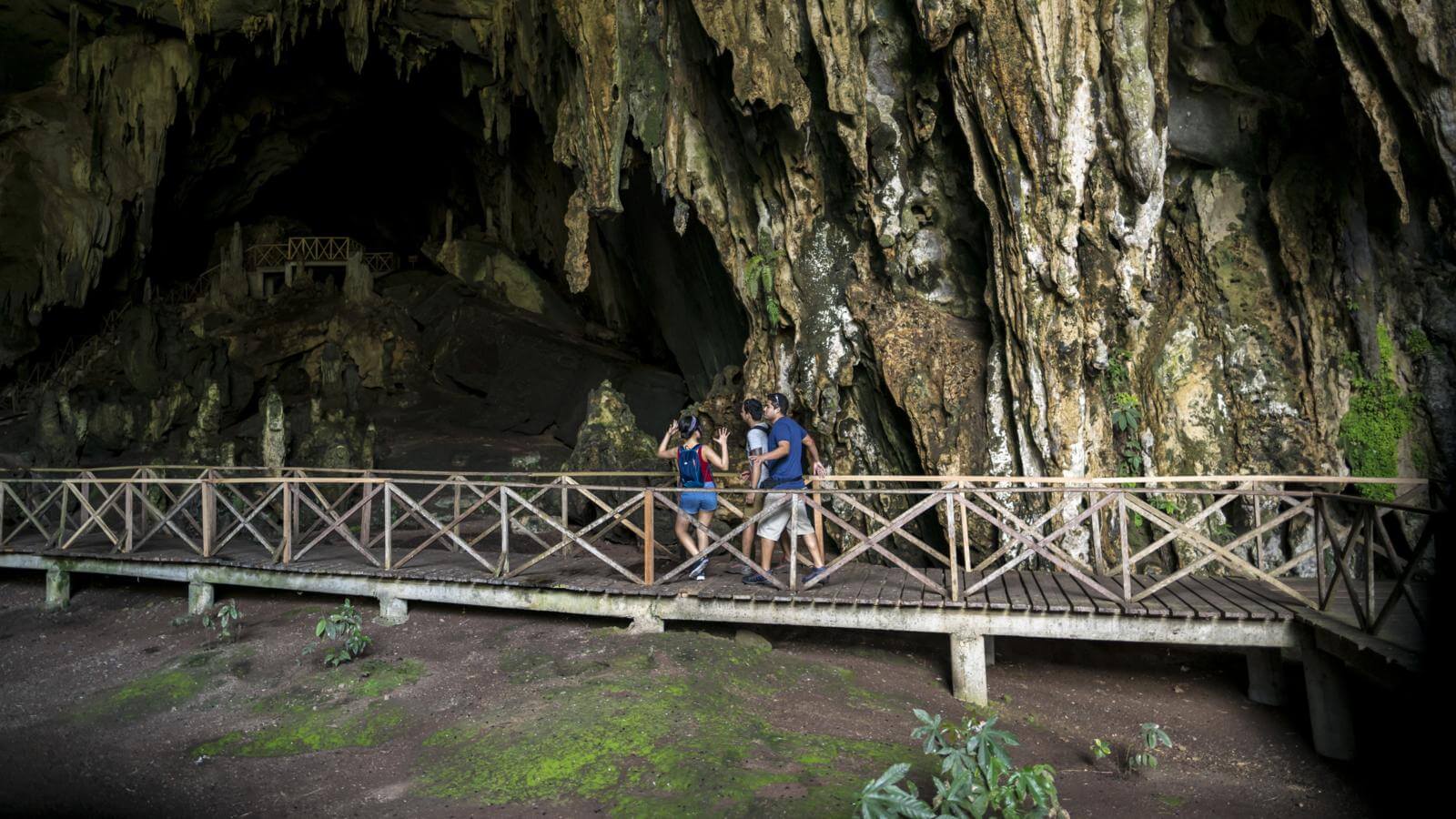 cueva-de-las-lechuzas