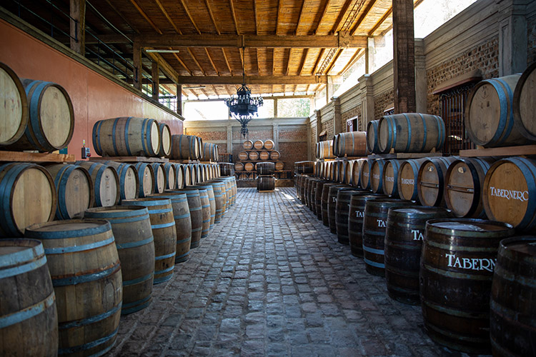 Bodegas y viñedos