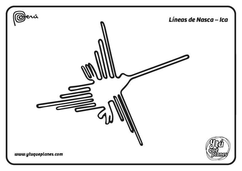 dibujo-nasca
