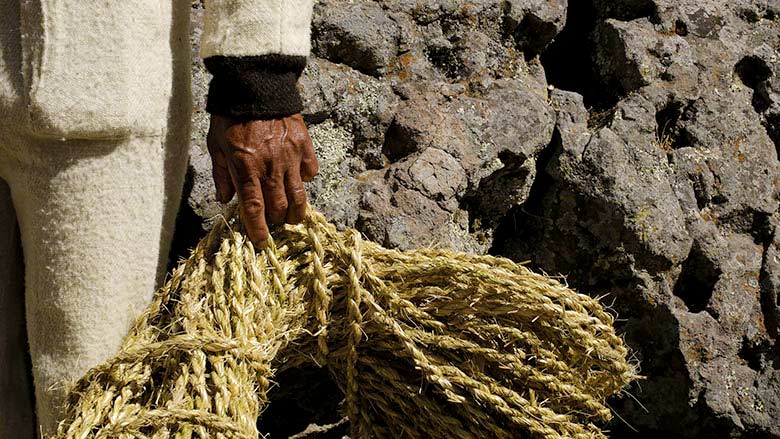 Fibras vegetales del puente Inca Q’eswachaka