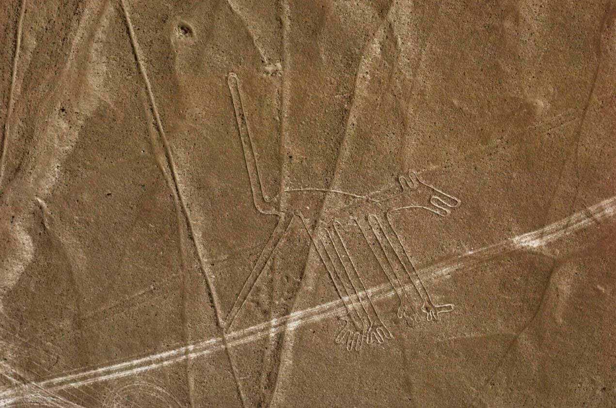 lineas de Nasca