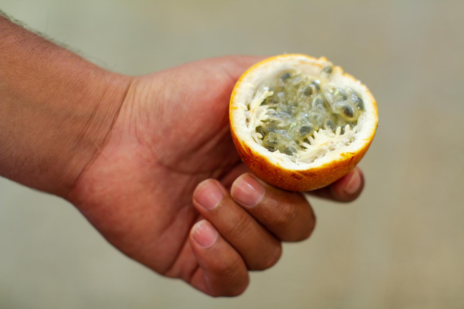 comida peruana