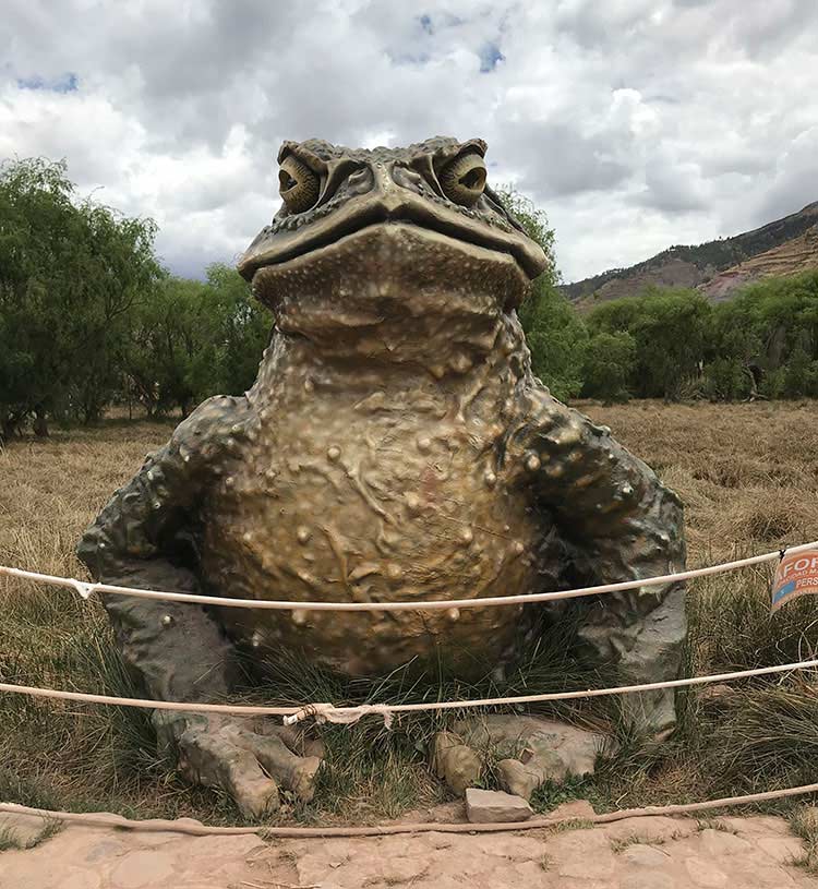 Escultura de sapo de Humedales de Huasao