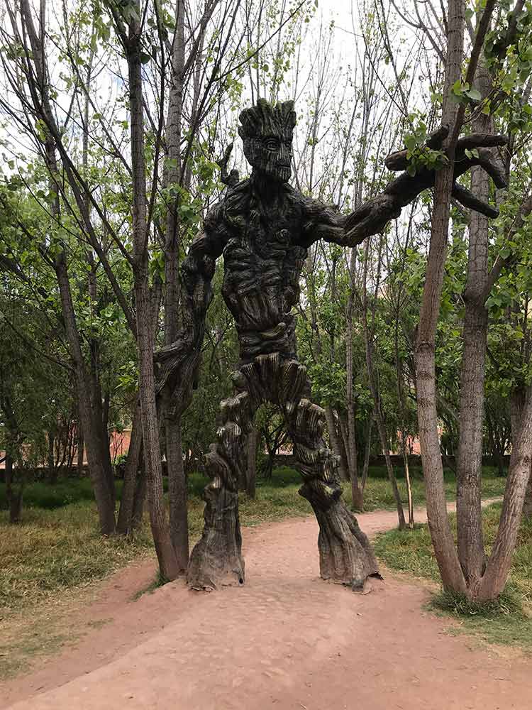 Groot en Humedales de Huasao