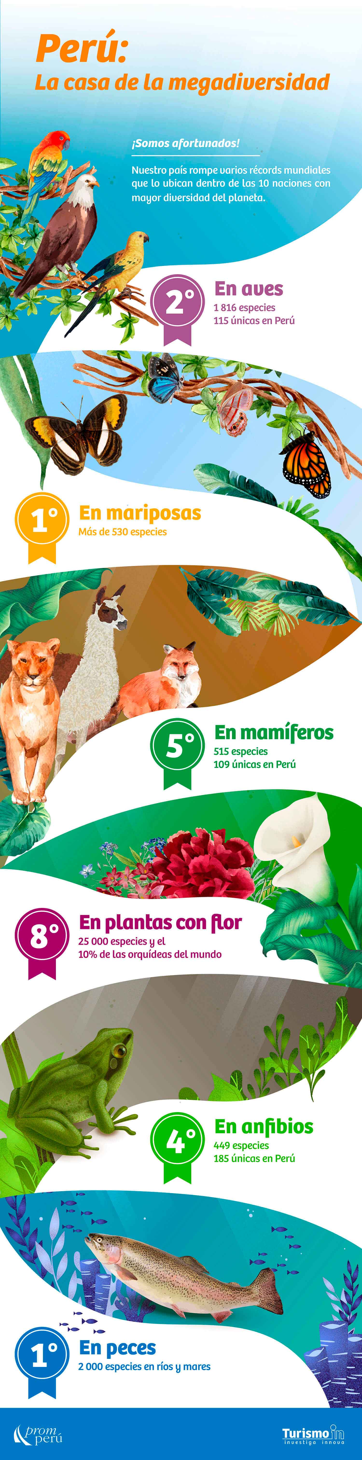animales-plantas-peru